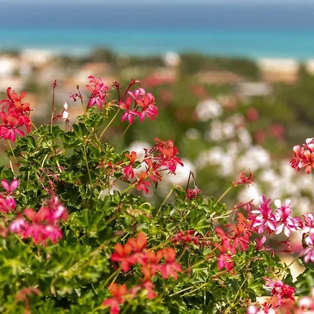 Casa Lella Tatil Evi Costa Rei